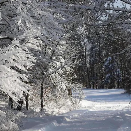 公寓 In Obernburg Am Edersee *