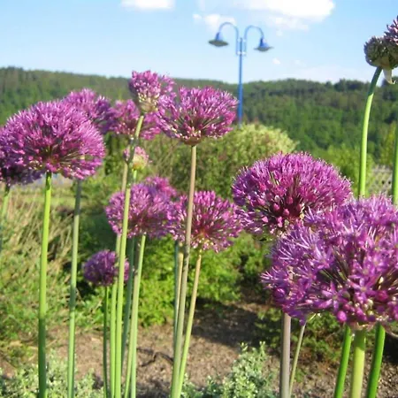 In Obernburg Am Edersee * Vöhl