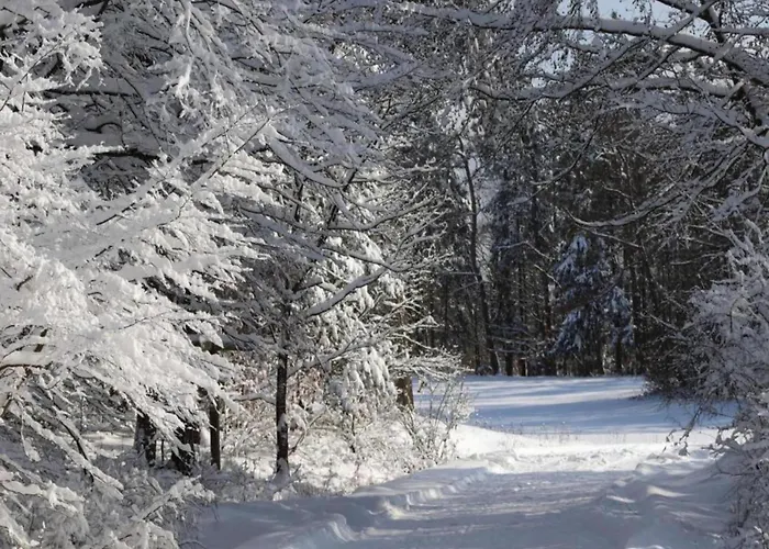 Daire In Obernburg Am Edersee *
