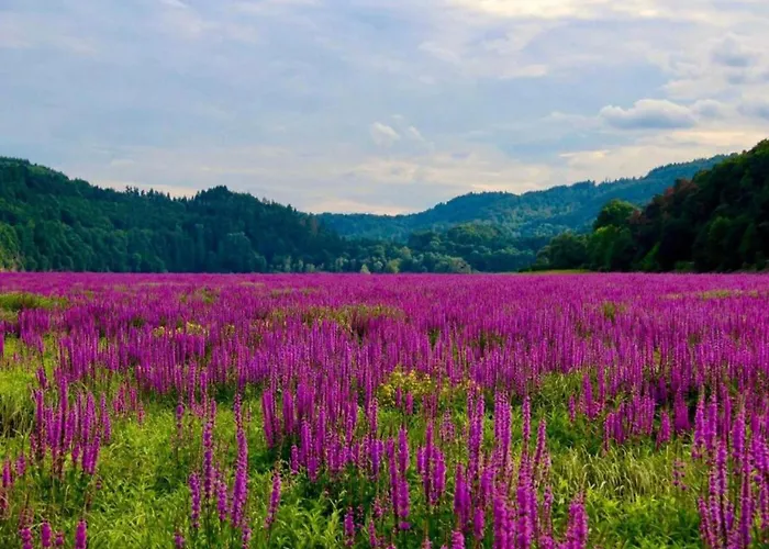 In Obernburg Am Edersee Vöhl