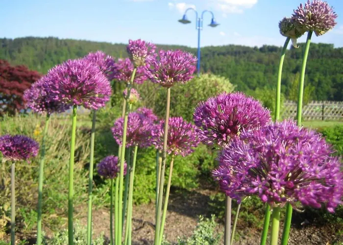 In Obernburg Am Edersee * Vöhl